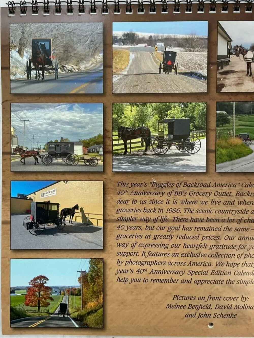 Amish Buggies of Backroad America 2026 Wall Calendar Scenic Pennsylvania NEW